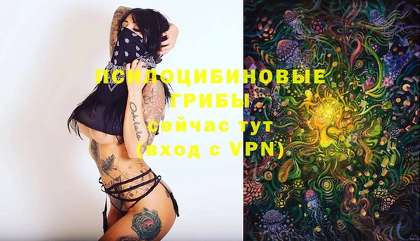 apvp Абдулино