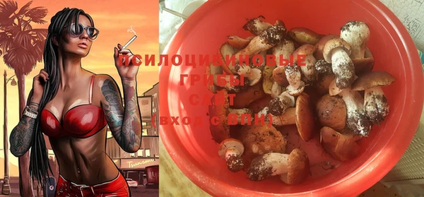 мяу мяу мука Абинск