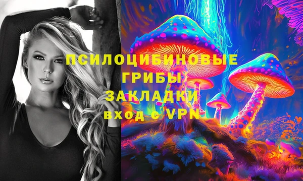 мяу мяу мука Абинск